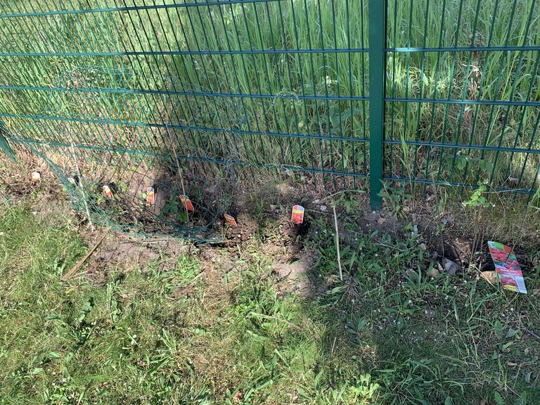 ADLT IN'LI plantations